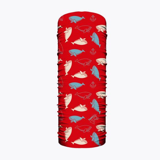 Pluma Ballenas